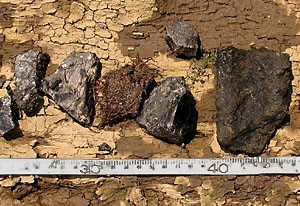 Possible coal and artillery shell fragments.