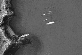 Aerial view of unidentified wrecks in the Potomac