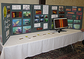 CLUE booth and display at Shipwrecks & Scuba show.