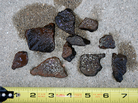 Indian Pottery Sherds found during Barrel Beach investigation.