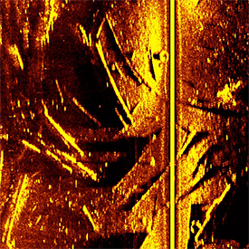 Side scan sonar image of a possible wreck site that proved to be merely some logs.
