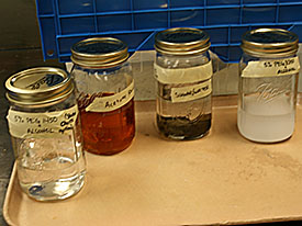 Four different types of consolidants being used by students to conserve wood from EP II: PEG dissolved in alcohol, acetone rosin, sugar water and 3350 weight PEG and alcohol.
