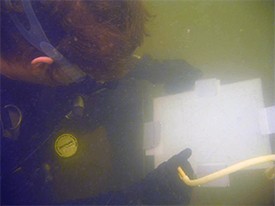 Student recording underwater.