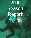 image link for 2000 report