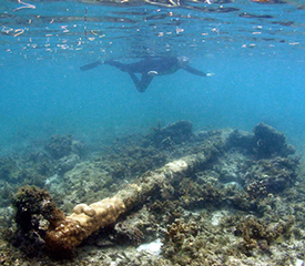 Costa Rica shipwreck anchor.