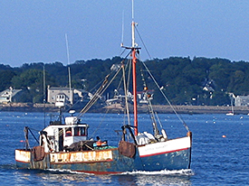 Built in 1946, the Little Sandra is one of the last eastern rig draggers still actively fishing the Stellwagen Bank National Marine Sanctuarys waters as a side trawler.