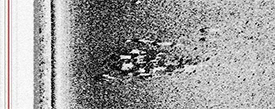 Sidescan sonar image of one of anomalies off St. George's Island.