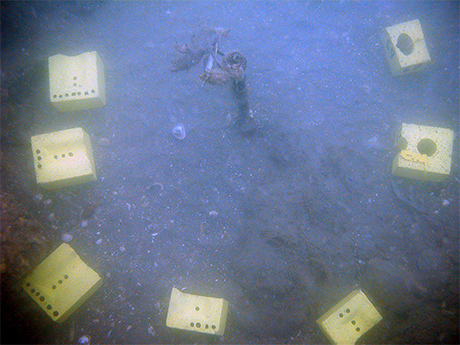 Tracer brick placement 2004: Initial Seabed Placement.