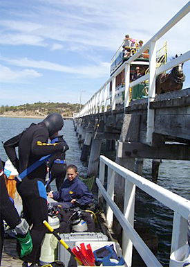 Divers gearing up while a horse tram rolls by.