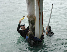 The red team measuring pilings.