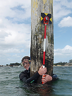 Holding a GPS Prism to record the location of a piling.