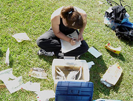 Amy recording and bagging material culture 