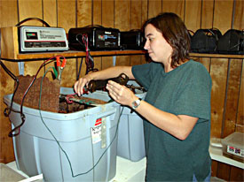 Michelle puts an artifact into electrolysis.