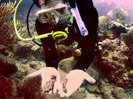 Diver Justin Parkoff holding copper sheathing fragments.