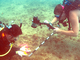 Justin Parkoff and Ryan Schlater photographing artifacts.