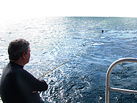 Divemaster watching towboarder off stern of research vessel.