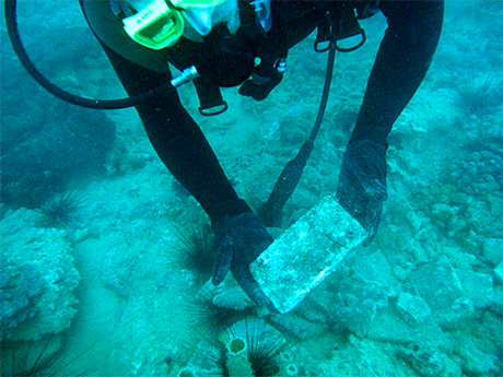 Whole Brick found throughout the site.