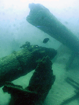 One of the masts of the Earl of Shaftsbury snapped in two.