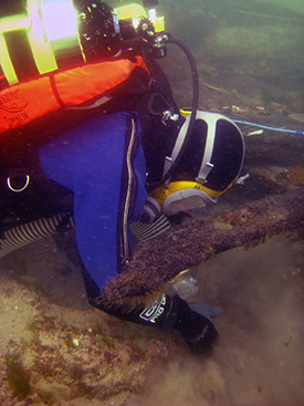 Student diver from Bournemouth University.